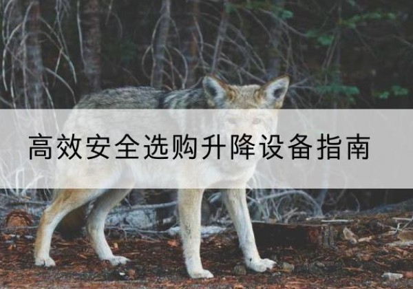 新抚升降货梯厂家推荐-*安全选购升降设备指南