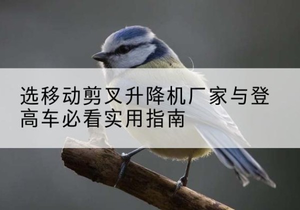 新抚电动升降机厂家-选移动剪叉升降机厂家与登高车必看实用指南