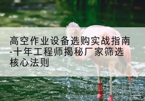 新抚剪叉式升降机厂家-高空作业设备选购实战指南-十年工程师揭秘厂家筛选核心法则